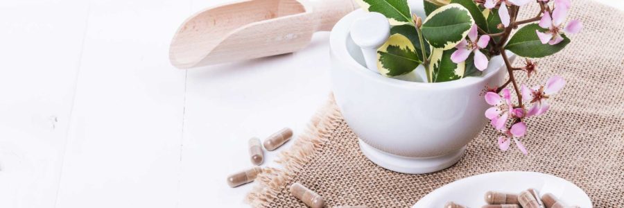 Grünlippmuschel Kapseln