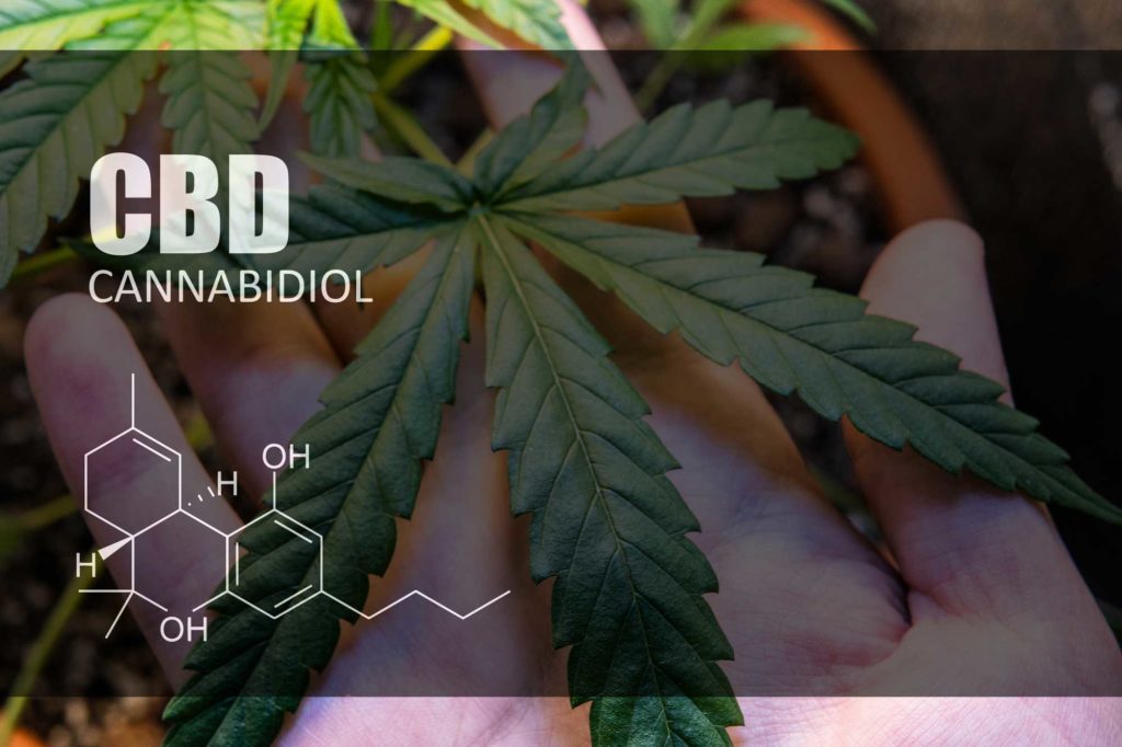 CBD Spray Flasche mit Dosierspray zur oralen Anwendung im Mundraum