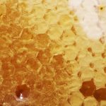 Manuka Honig zur Behandlung einer Hautwunde