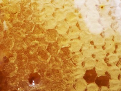Manuka Honig Wabe