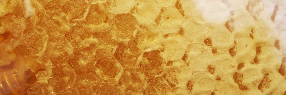 Manuka Honig Wabe