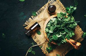 Oregano Öl