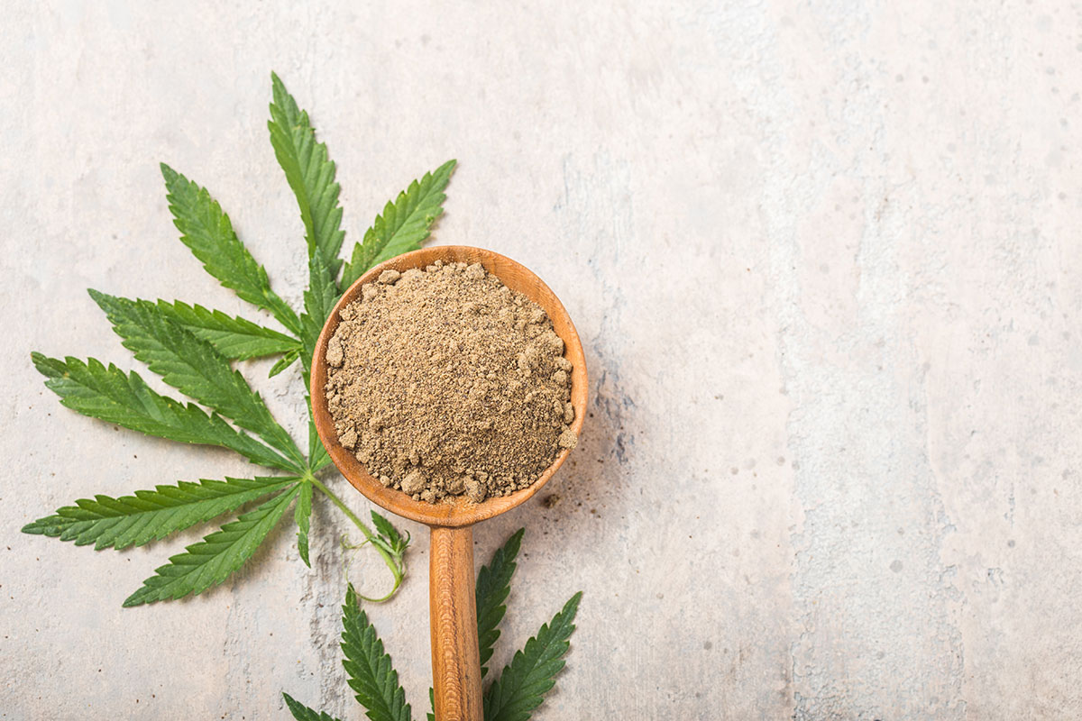 Hanfprotein Pulver aus Hanfsamen – pflanzliches Protein mit Aminosäuren und Ballaststoffen